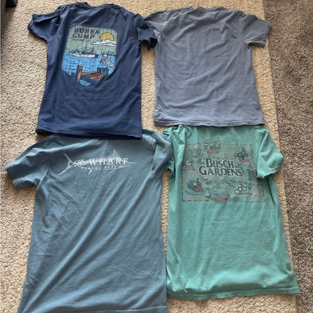 Comfort Colors Bundle of Tees in Blue and Green - Picture 2 of 5